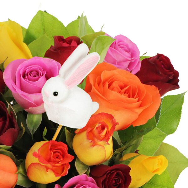 Cadeaux Insolites 20 ROSES MULTICOLORES PIC LAPIN Livraison